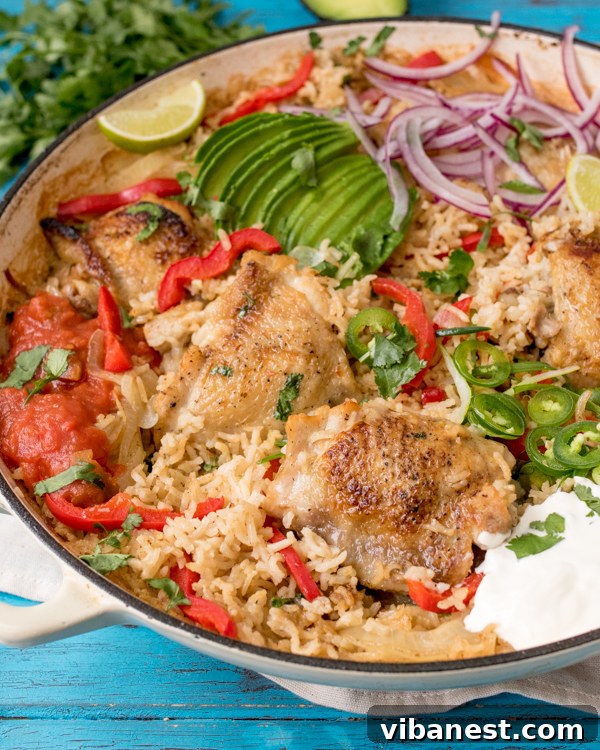 Beautifully Cooked One-Pot Mexican Chicken and Rice One-Pot Mexican Chicken and Rice ready to be served