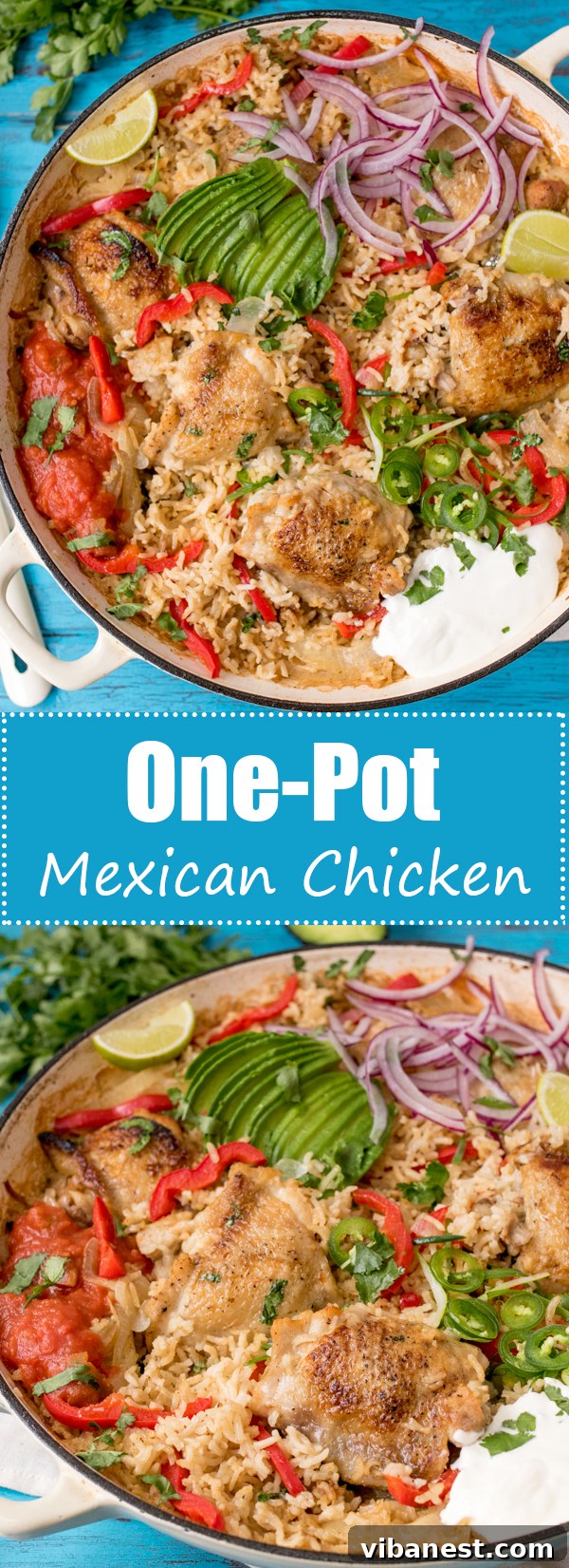 One-Pot Mexican Chicken and Rice Pinterest Pin