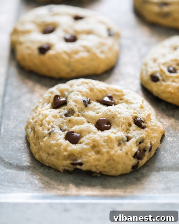 banana-bread-cookies-2.jpg Close-up of freshly baked banana bread cookies with chocolate chips