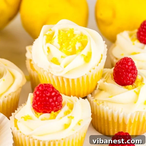 Lemon Cupcakes with Raspberry Jam Recipe Card