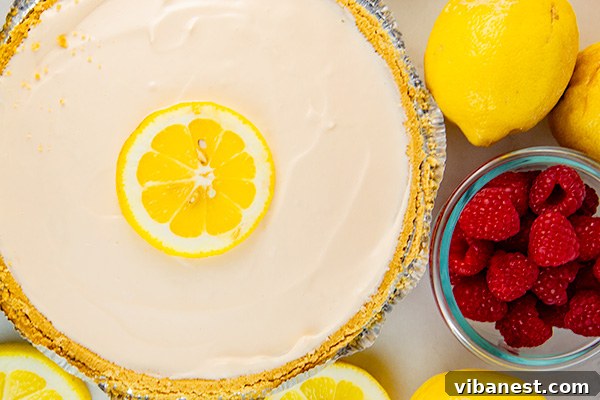 Whole Pink Lemonade Pies Overhead shot of two whole frozen pink lemonade pies on a cooling rack, ready to be sliced
