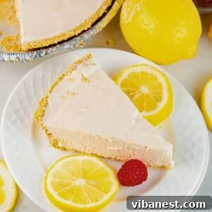 A vibrant slice of frozen pink lemonade pie on a plate, garnished with fresh berries and lemon