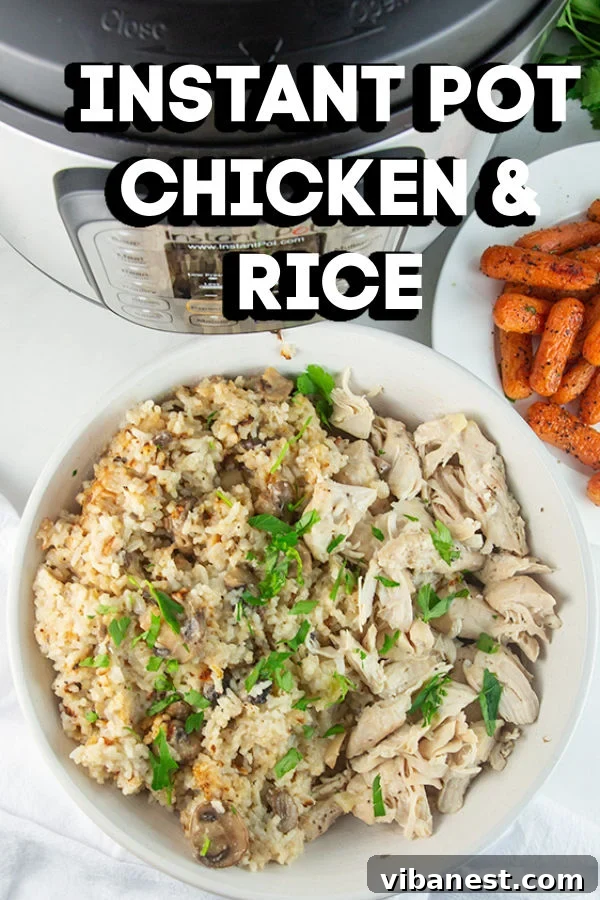 instant-pot-chicken-rice-5.jpg A close-up of creamy Instant Pot Chicken and Rice, garnished with fresh parsley.