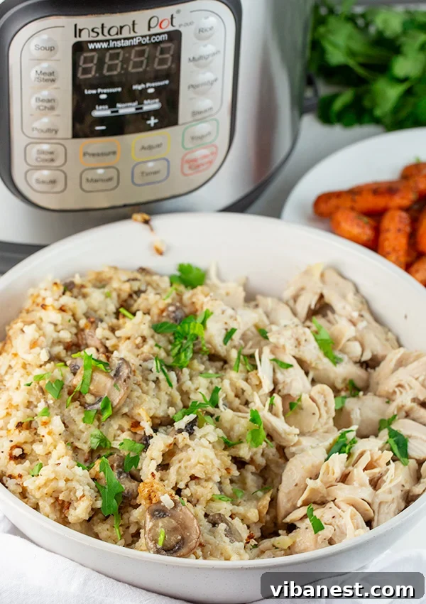 instant-pot-chicken-rice-2.jpg A bowl of creamy Instant Pot Chicken and Rice, ready to be served.