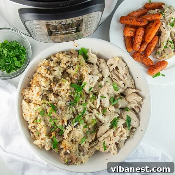 instant-pot-chicken-rice-6.jpg Finished Instant Pot Chicken and Rice in a serving bowl, garnished with fresh parsley.
