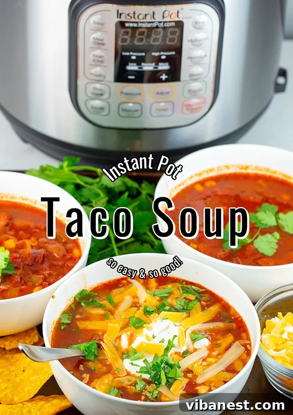 easy-instant-pot-taco-soup-2.jpg easy instant pot taco soup 2