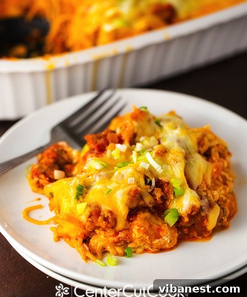 Spaghetti Pie 9.jpg Spaghetti Pie 9