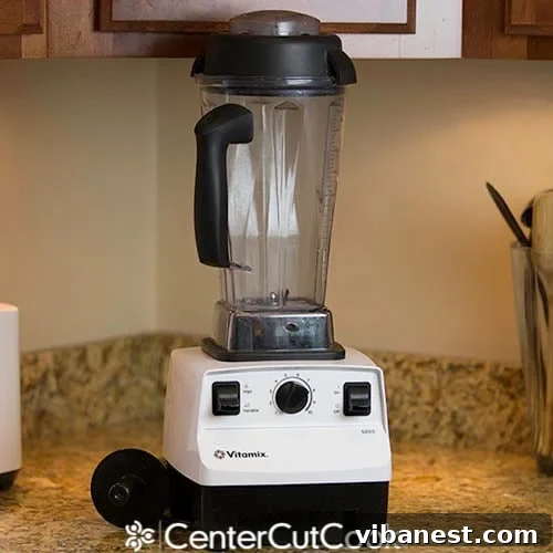 Vitamix 5200 Features and Design The Vitamix 5200 with its 64-ounce BPA-free container and tamper, ready for high-performance blending tasks.