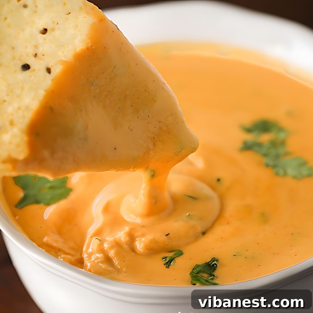 Smoky Queso Fiesta 2 Cheesy Chipotle Dip, a vibrant, smoky, and creamy cheese dip perfect for parties and snacks, made easily in a blender.