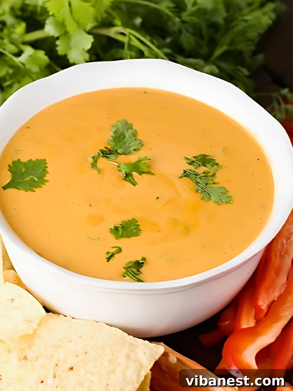 Smoky Queso Fiesta 3 A close-up of the smooth and rich cheesy chipotle dip in a bowl, surrounded by fresh dipping vegetables and tortilla chips.