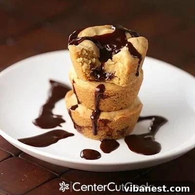 A plate of two freshly baked Chocolate Chip Lava Cookies