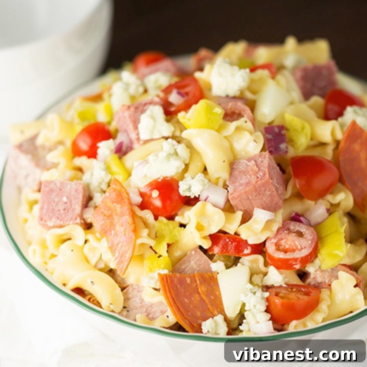 Antipasto Pasta Medley 2 Vibrant Antipasto Pasta Salad with pepperoni, pepperoncini, tomatoes, cucumbers, and blue cheese