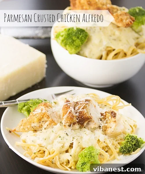 Parmesan crusted chicken alfredo plated beautifully. A beautifully composed plate of Parmesan Crusted Chicken Alfredo, garnished with fresh herbs and a sprinkle of cheese.