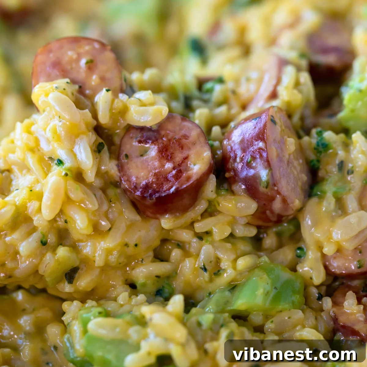 Hearty Cheesy Sausage and Rice Skillet 5 close up of cheesy sausage and rice skillet