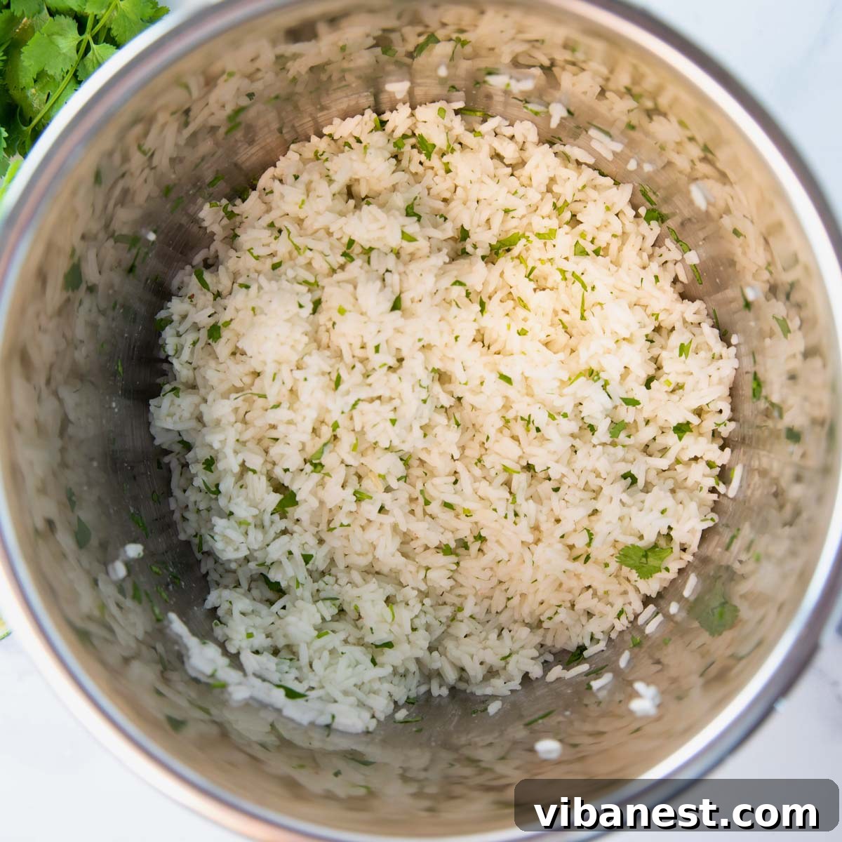 Zesty Instant Pot Cilantro Lime Rice 4 A serving bowl filled with fluffy and aromatic Instant Pot Cilantro Lime Rice, garnished with fresh cilantro.