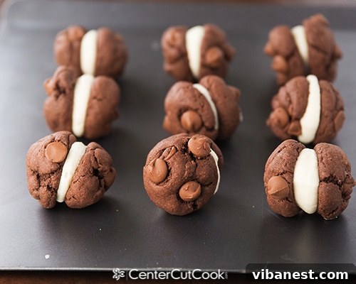 Soft and chewy Devil's Food Cake Mix Cookies Two Devil's Food Cake Mix Cookies, showing the soft texture