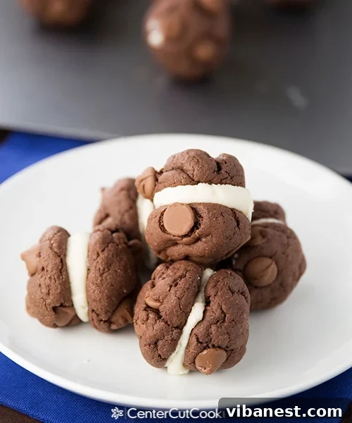 Devil's Food Cake Mix Cookies ready to eat A finished Devil's Food Cake Mix Cookie sandwich, showcasing the frosting