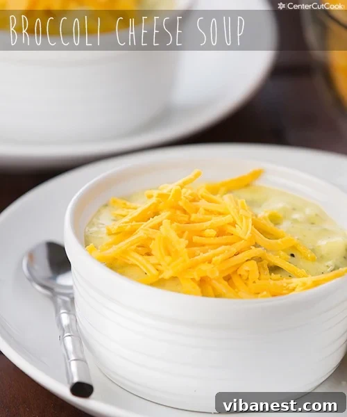broccoli-cheese-soup 4.jpg Close-up of a bowl of homemade broccoli cheese soup with visible broccoli florets and melted cheese.