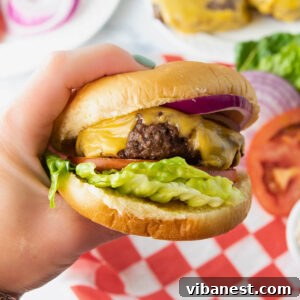 cheeseburger in the air fryer with lettuce, tomato and onion