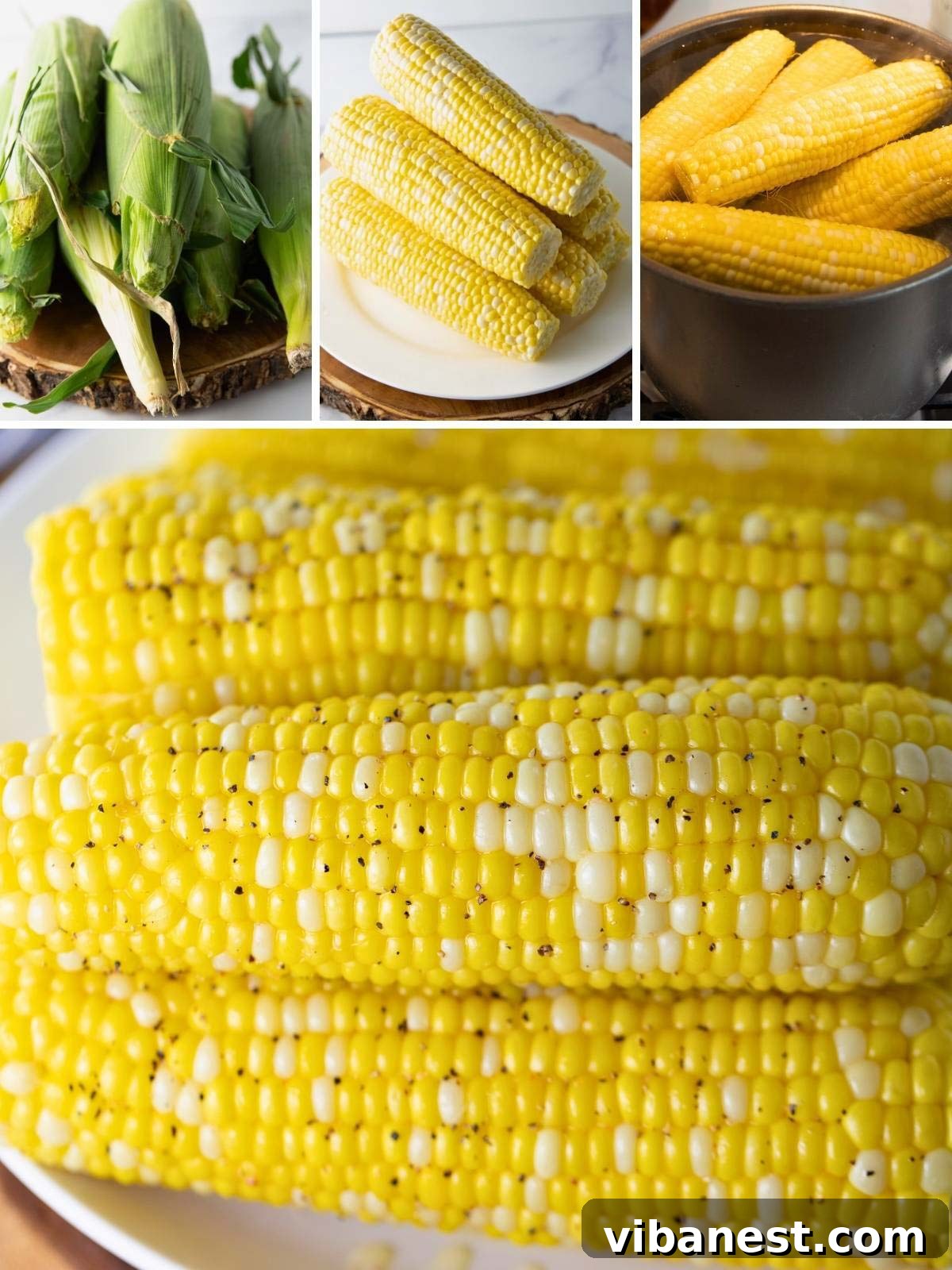 Mastering Perfect Corn on the Cob 3 Detailed view of how to boil corn on the cob