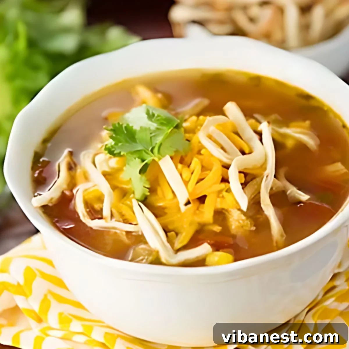 Easy Slow Cooker Chicken Tortilla Soup 2 bowl of slow cooker chicken tortilla soup