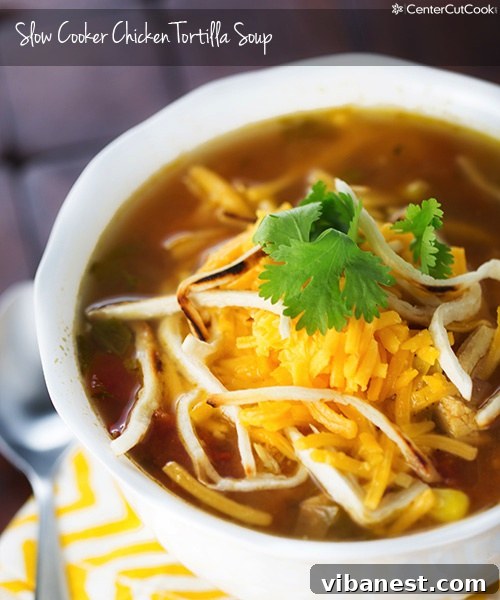 chicken tortilla soup 6.jpg Chicken tortilla soup 6