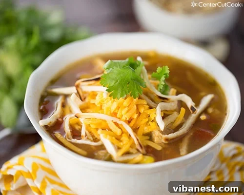 chicken tortilla soup 4.jpg Chicken tortilla soup 4