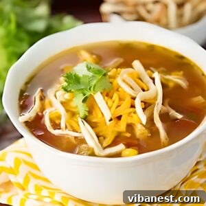 Easy Slow Cooker Chicken Tortilla Soup 3 bowl of slow cooker chicken tortilla soup