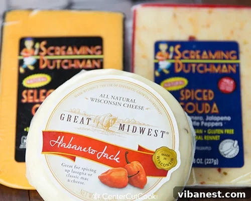 Close-up of Spicy Wisconsin Cheese & Bacon Soup, garnished and ready to eat