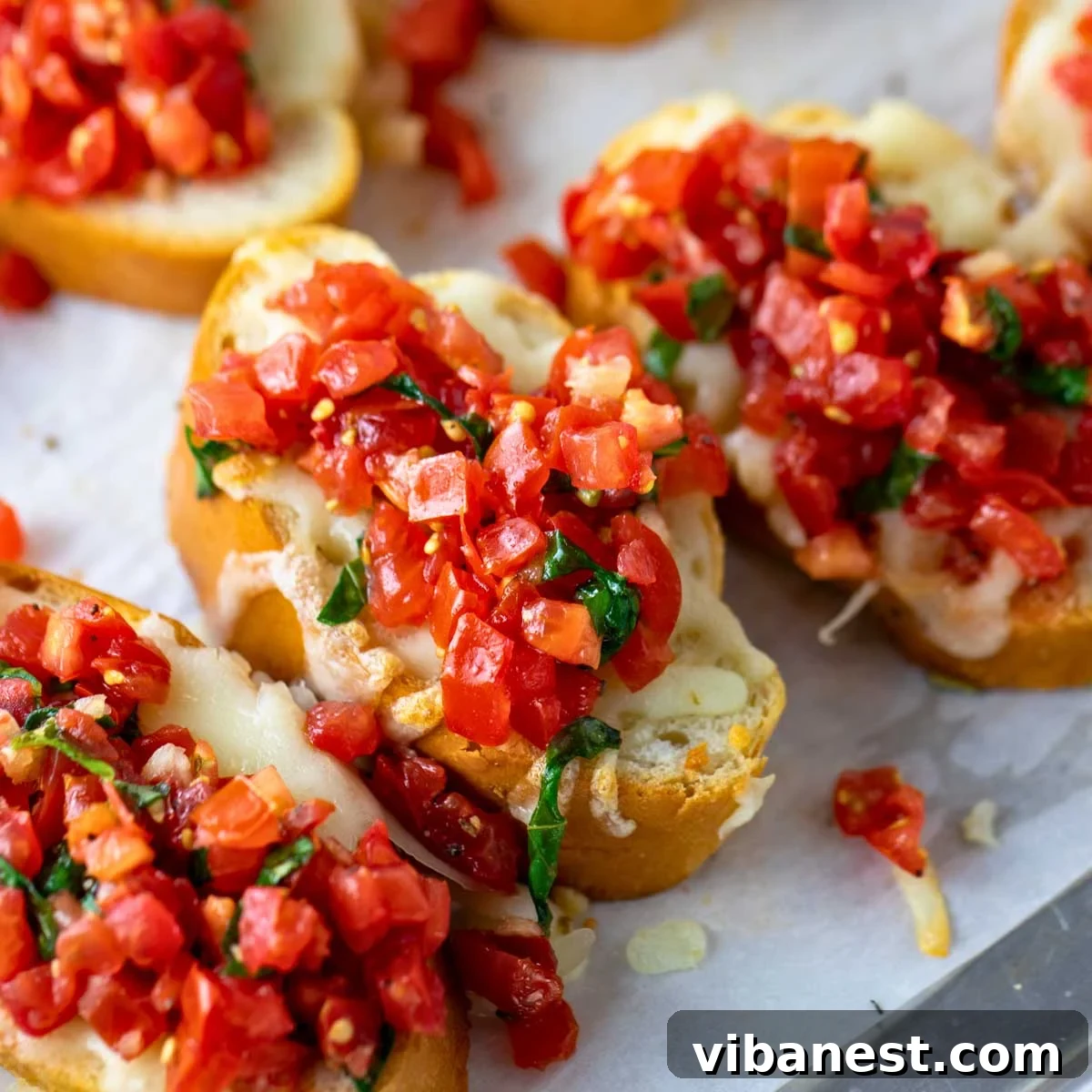 Melted Mozzarella Bruschetta 2 bruschetta with mozzarella
