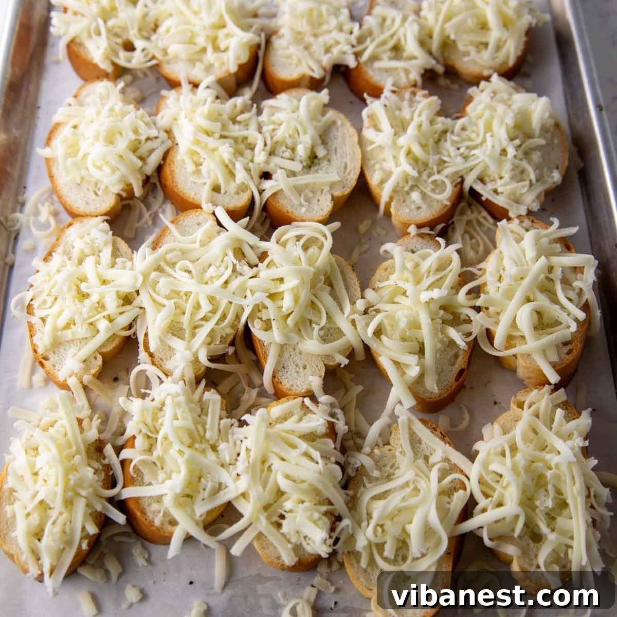 Melted Mozzarella Bruschetta 14 toasts for bruschetta with mozzarella cheese