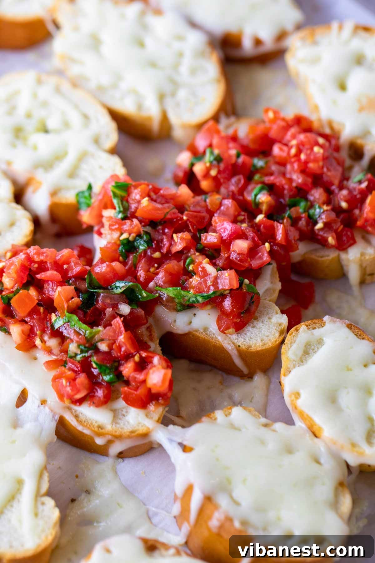 Melted Mozzarella Bruschetta 16 Bruschetta with mozzarella with balsamic glaze