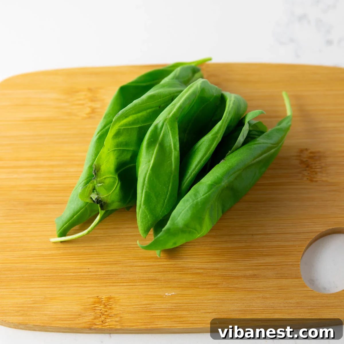 Melted Mozzarella Bruschetta 18 Stacking basil leaves for chiffonade