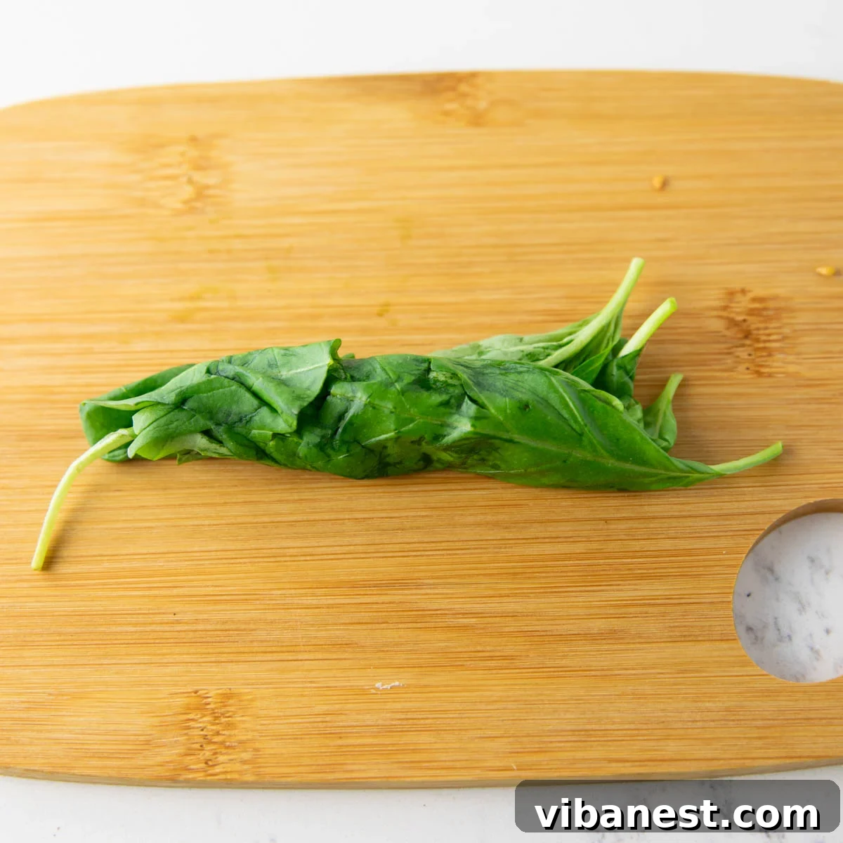 Melted Mozzarella Bruschetta 19 Rolling basil leaves for chiffonade