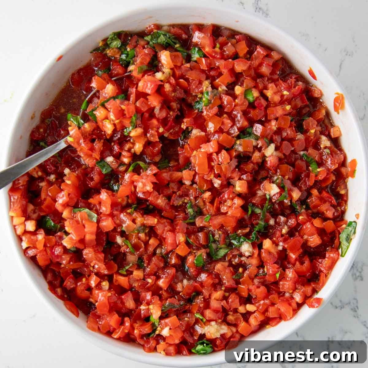 Melted Mozzarella Bruschetta 9 how to make bruschetta topping
