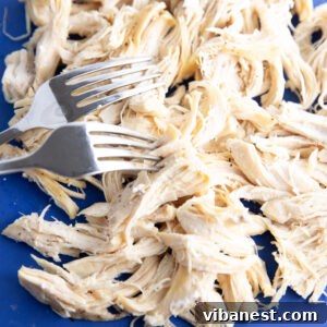 No Thaw, No Fuss Instant Pot Chicken Breasts 4 Cooked chicken breasts being shredded effortlessly with two forks, ready for a meal.