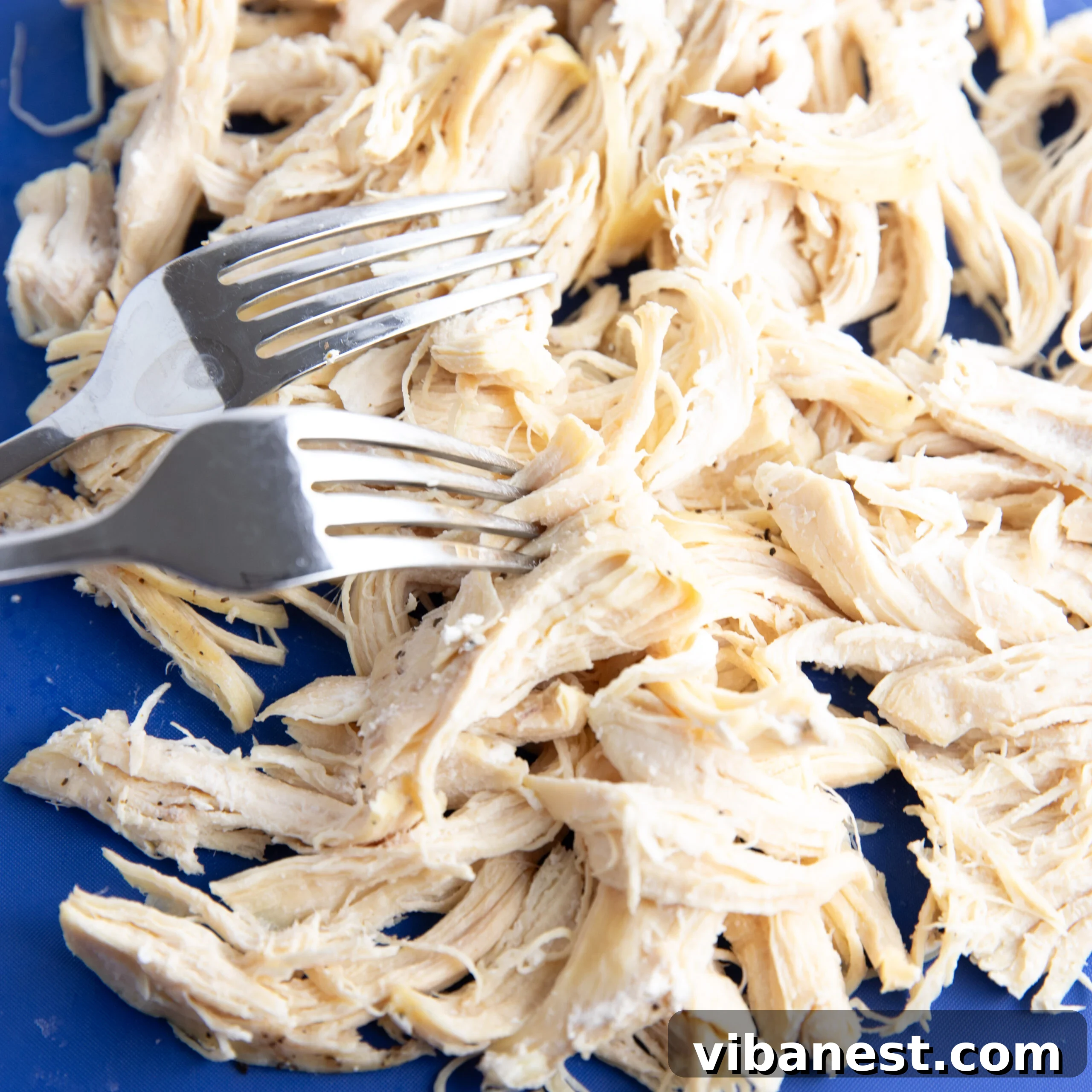 No Thaw, No Fuss Instant Pot Chicken Breasts 8 Perfectly cooked chicken breasts being effortlessly shredded with two forks, ideal for quick meal prep.