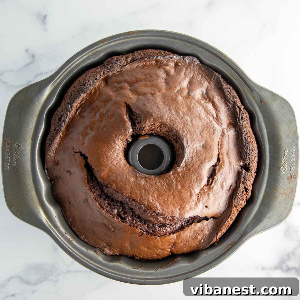 Decadent Double Chocolate Bundt Cake 12 A freshly baked chocolate bundt cake, golden brown and puffed, just removed from the oven and sitting on a cooling rack.