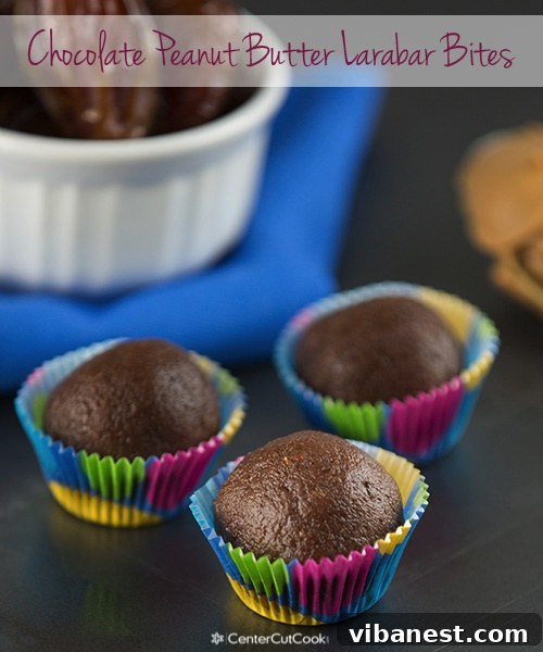 Close-up of freshly made chocolate peanut butter energy bites arranged on a plate.