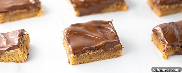 Decadent blondies with a smooth layer of melted chocolate chips