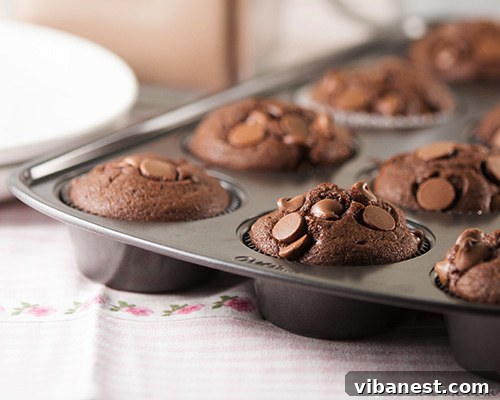 Chocoholic's Dream Muffins 4 Chocolate chocolate chip muffins cooling on a wire rack, ready to be enjoyed