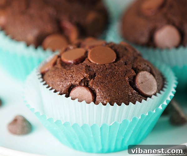 Chocoholic's Dream Muffins 6 An array of delicious chocolate chocolate chip muffins, freshly baked and ready to serve