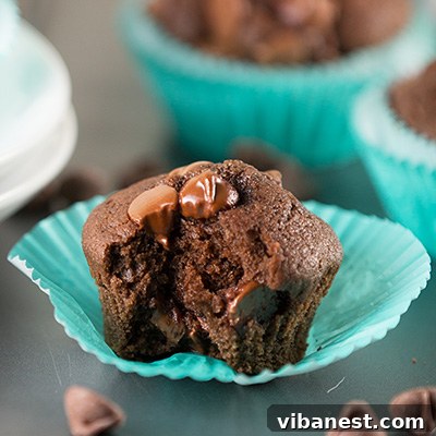 Close-up of muffin batter with chocolate chips being stirred in a bowl