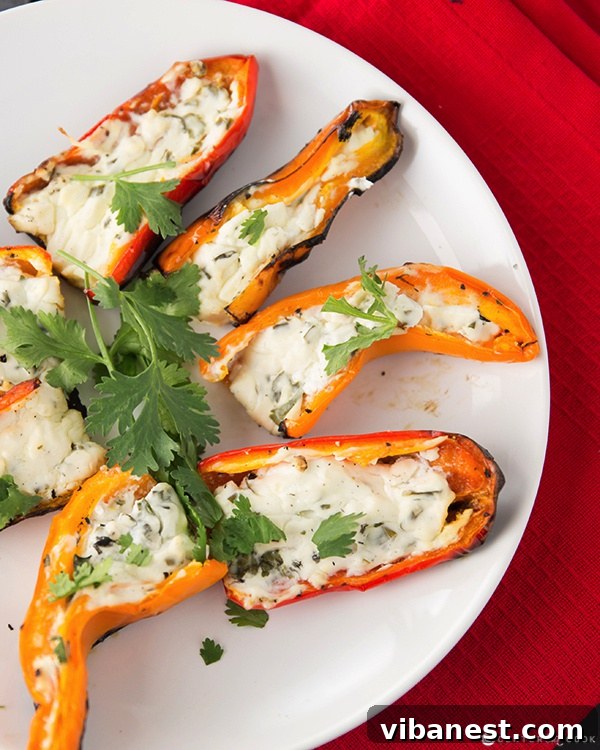 Grilled Stuffed Mini Bell Peppers with creamy filling Vibrant grilled mini bell peppers stuffed with cream cheese and herbs
