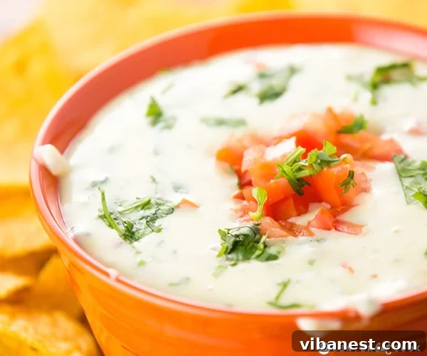 queso blanco 4.jpg A serving bowl of homemade Queso Blanco dip, surrounded by a colorful array of fresh tortilla chips and garnishes.