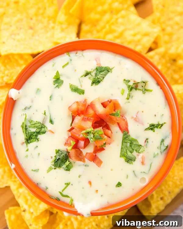 queso blanco 5.jpg A close-up shot of the finished Queso Blanco dip, perfectly smooth and warm in a ceramic bowl, ready to be served.