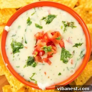 A bowl of creamy Queso Blanco dip, surrounded by crispy tortilla chips, with a small dish of fresh salsa nearby.