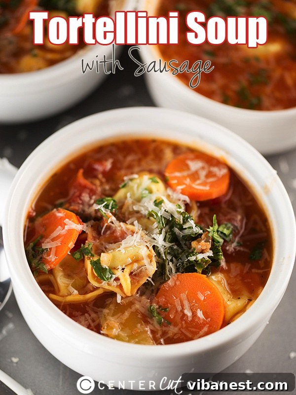 Tortellini Soup with fresh veggies Delicious Tortellini Soup with fresh spinach and carrots