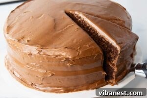 Savor Portillos Legendary Chocolate Cake 4 A perfectly sliced piece of Portillo's chocolate cake on a plate