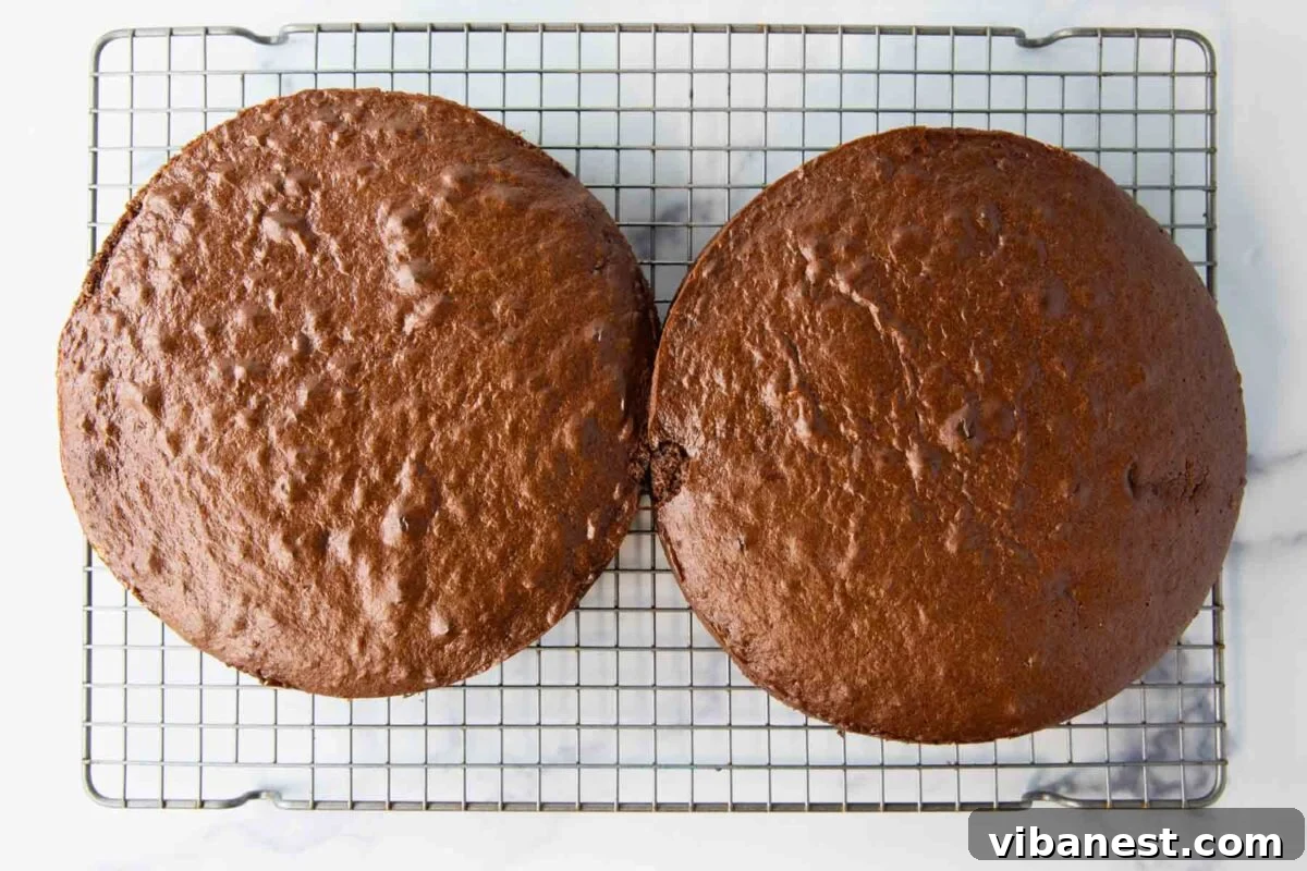 Savor Portillos Legendary Chocolate Cake 9 Finished, cooled chocolate cake layers ready for frosting